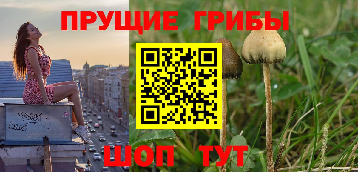 Псилоцибиновые грибы MAGIC MUSHROOMS Фурманов